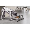 Double gamelle pour chiens diam.21cm