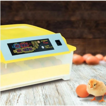 Couveuse automatique 48 œufs incubateur