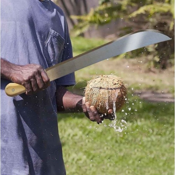 Machette