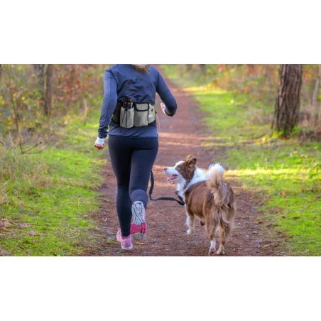 Laisse pour chien mains libres