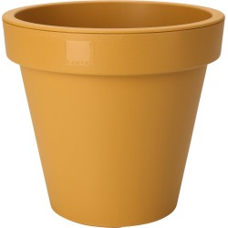 Cache pot Jaune