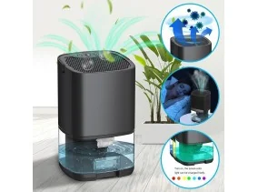 Déshumidificateur électrique 2 en 1