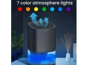 Déshumidificateur électrique 2 en 1