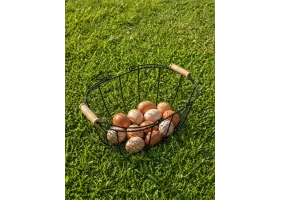 Panier de récolte métal