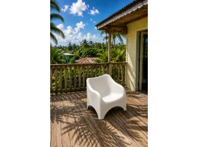 Fauteuil de jardin...