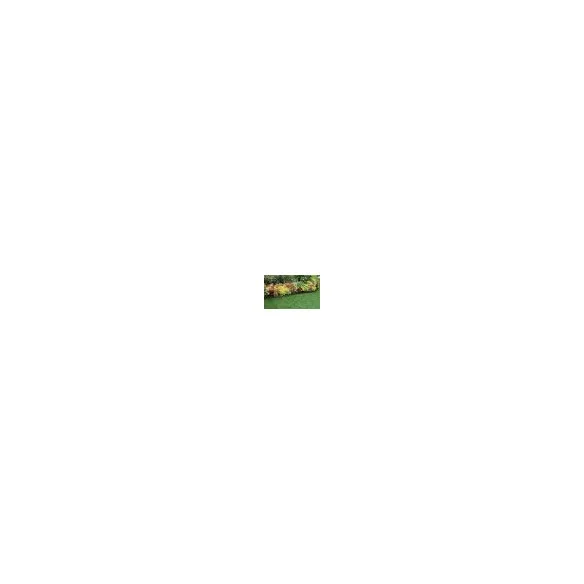 Bordurette plastique noire 10m avec piqu