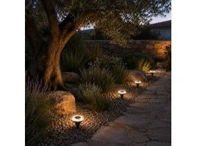 Lampes solaires x8