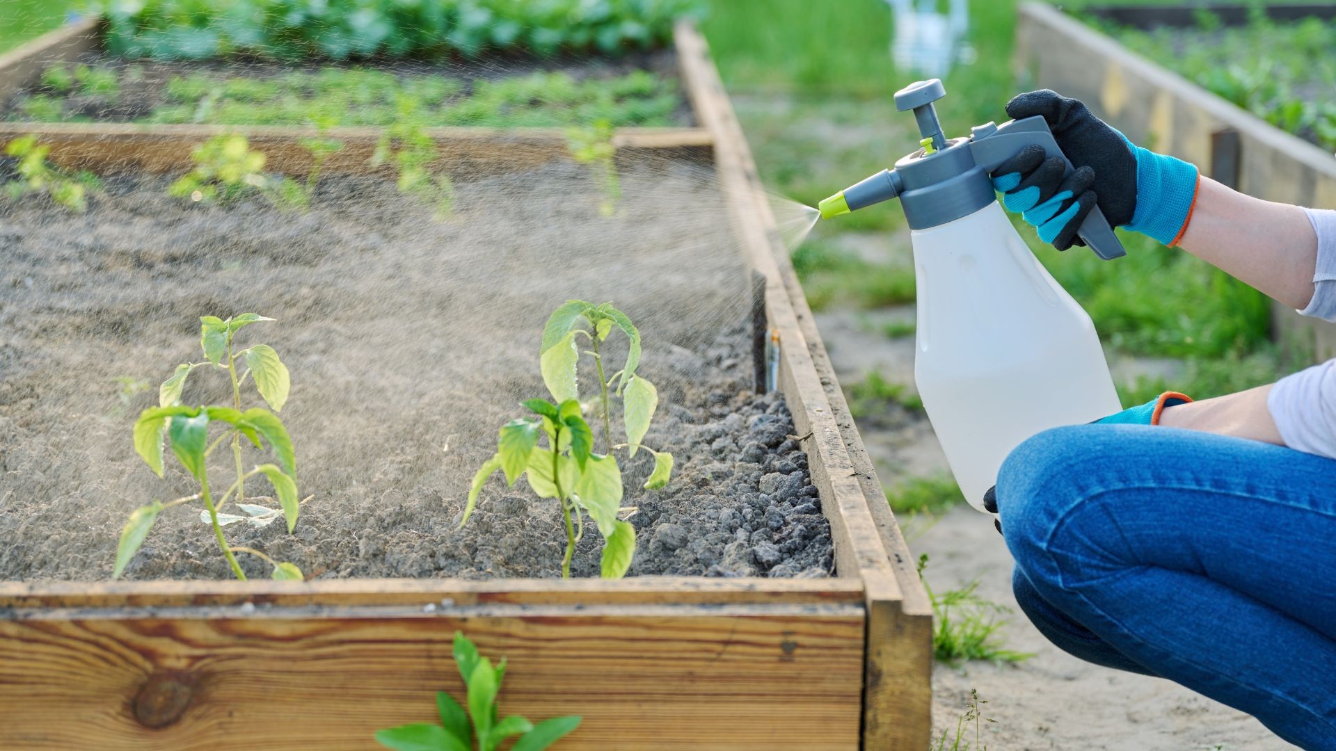 Comment nettoyer un pulvérisateur de jardin ?